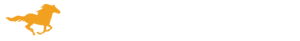 noble gold logo